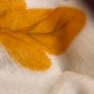 Meet your Posher, Selena